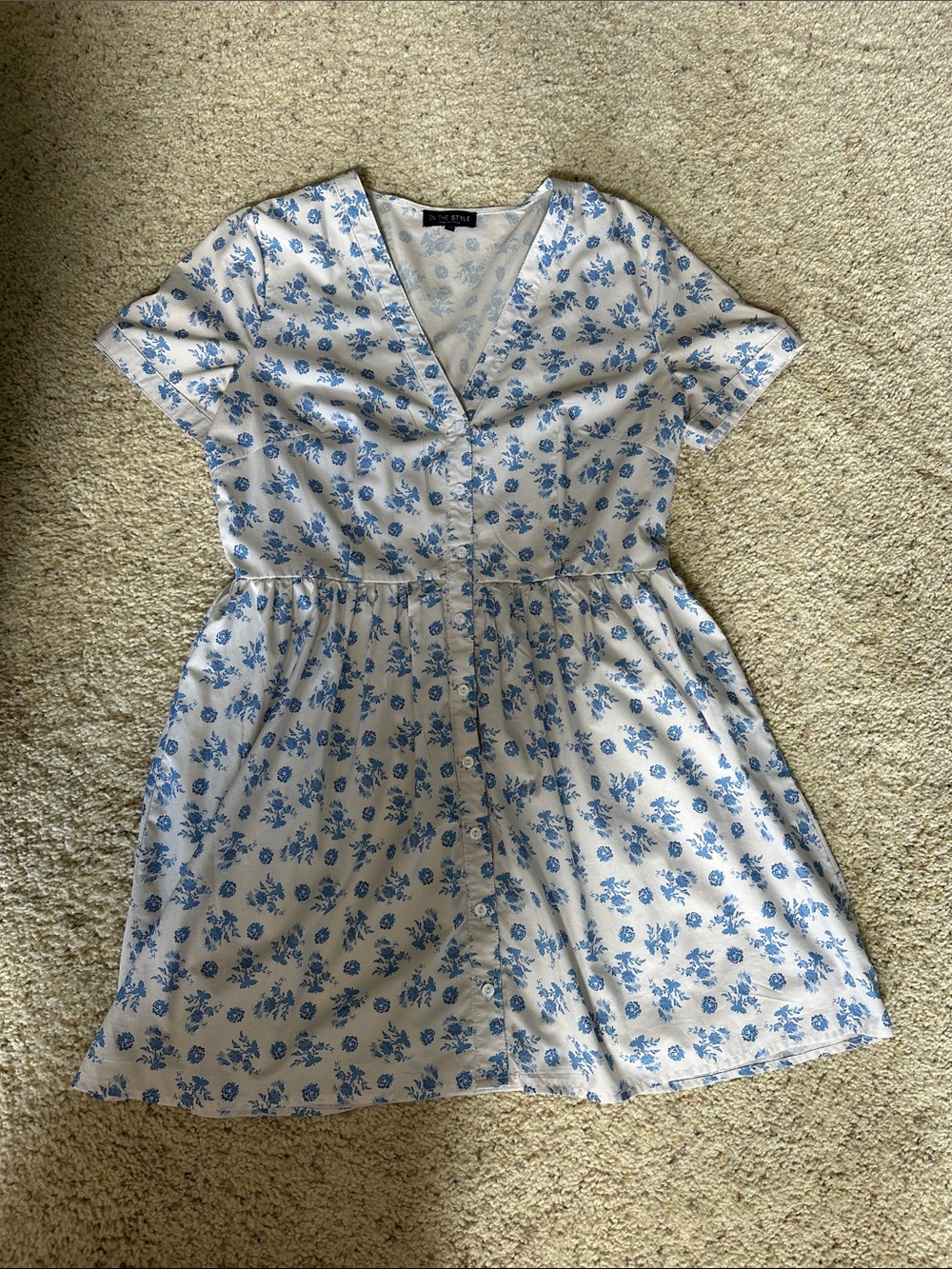 Blue Floral Button-Front Mini Dress by New Look